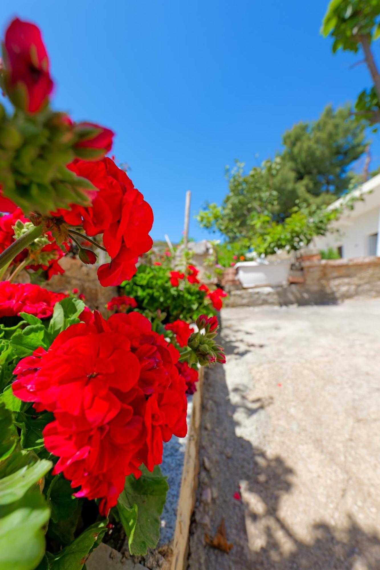 Flower Vila Sarandë 외부 사진