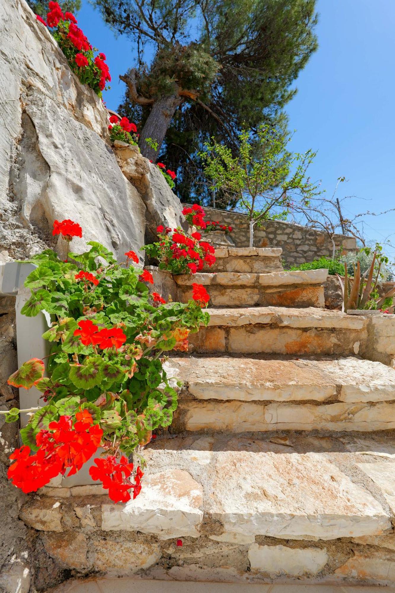 Flower Vila Sarandë 외부 사진