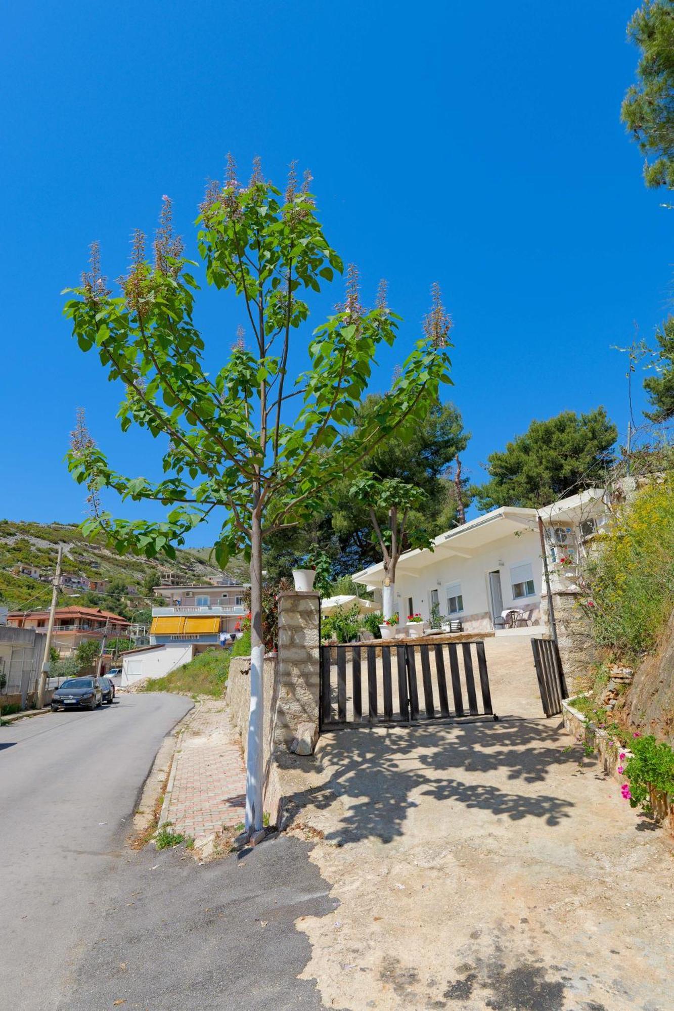 Flower Vila Sarandë 외부 사진